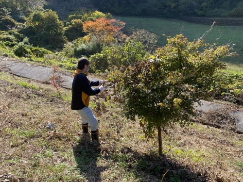 写真 2022-11-05 9 13 34.jpg